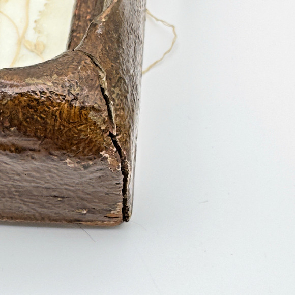 Vintage Antique Pressed Real Butterfly Tray Framed Botanicals 14.5" x 11" - Picture 8 of 16